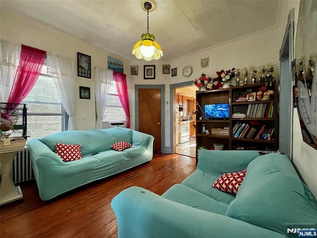 living room featuring hardwood / wood-style floors and radiator heating unit