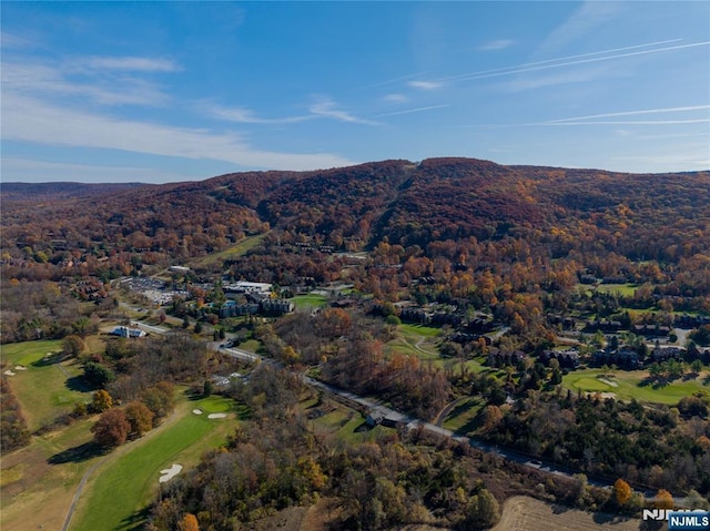 aerial view with a mountain view