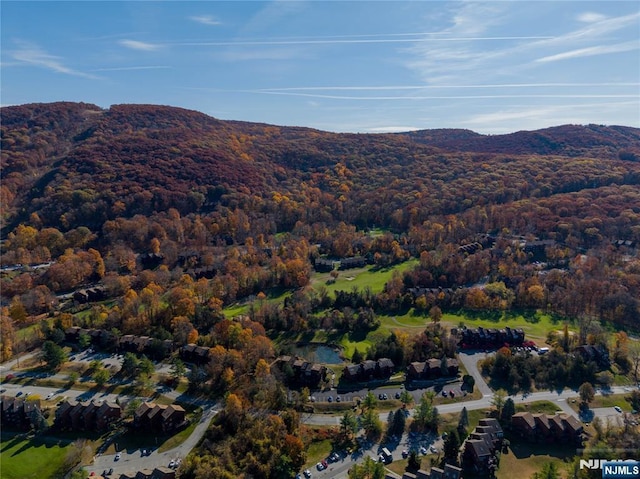 bird's eye view with a mountain view