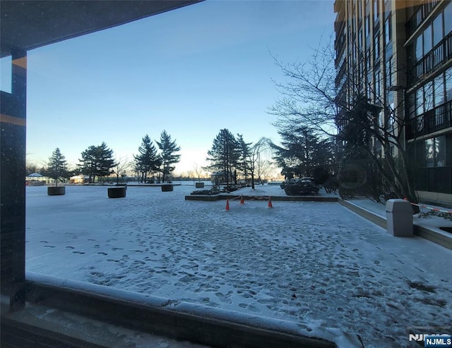 view of yard at dusk