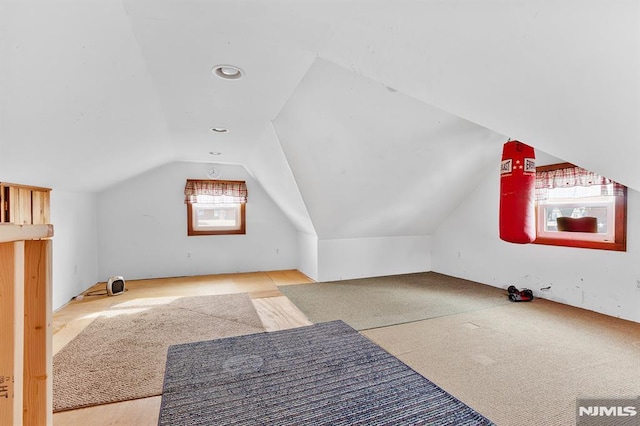 additional living space with vaulted ceiling and light colored carpet