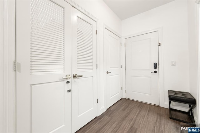 doorway featuring dark hardwood / wood-style flooring