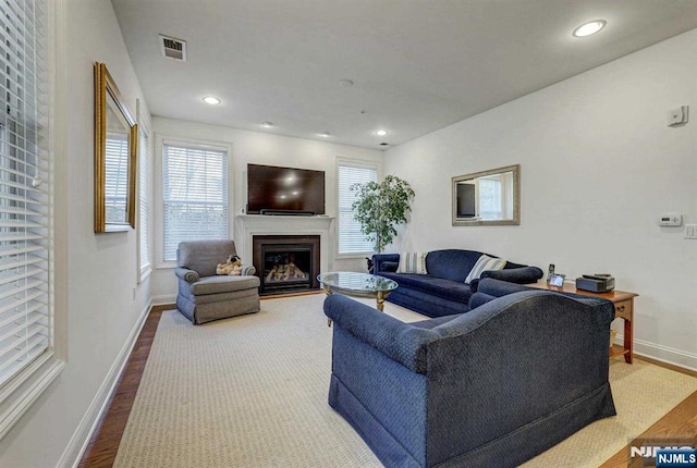 living room featuring wood-type flooring and a wealth of natural light