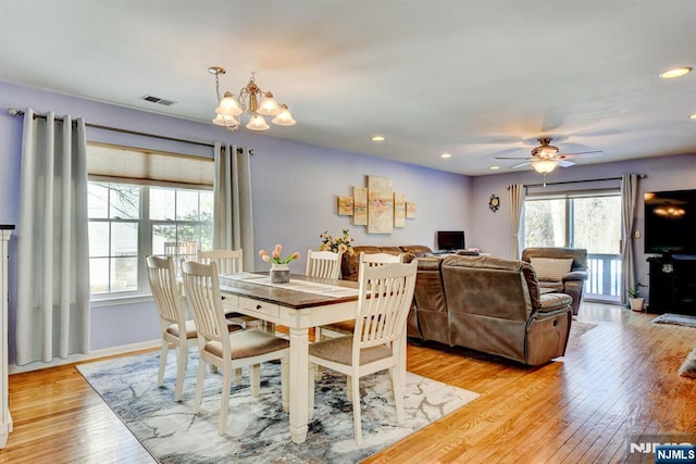 dining room featuring ceiling fan with notable chandelier and light hardwood / wood-style flooring