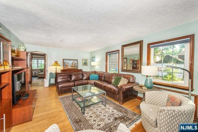 living room featuring light hardwood / wood-style floors and a textured ceiling