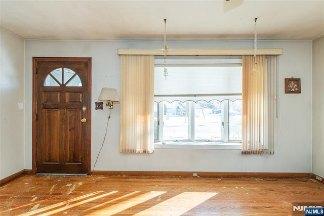 entrance foyer featuring hardwood / wood-style floors