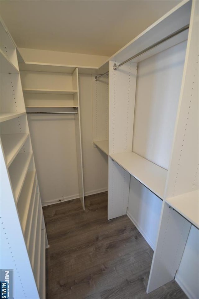 walk in closet featuring dark hardwood / wood-style flooring