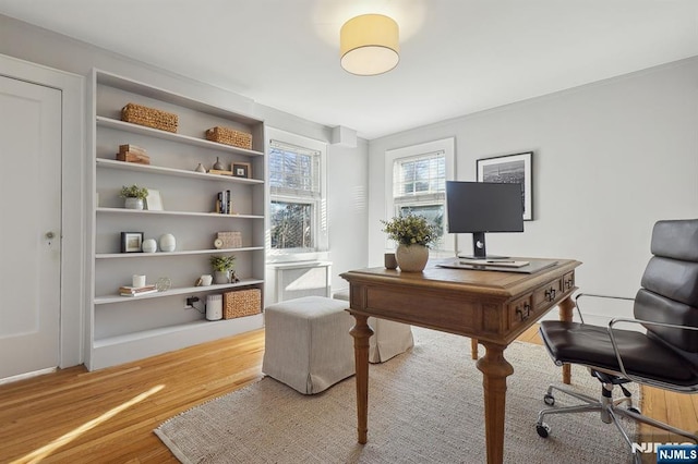 office area featuring wood finished floors