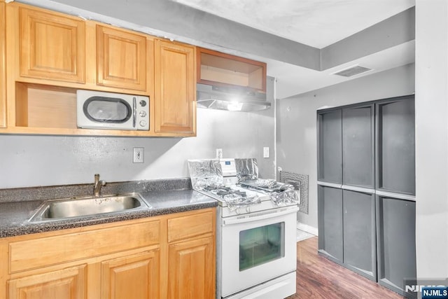 kitchen with dark hardwood / wood-style floors, sink, and white range with gas stovetop