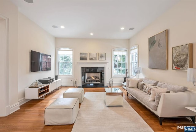 living room featuring hardwood / wood-style floors