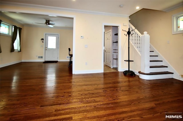 interior space featuring crown molding, plenty of natural light, and dark hardwood / wood-style flooring