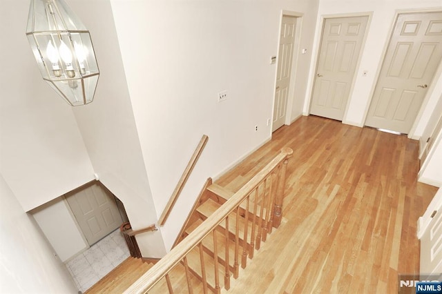 stairway with hardwood / wood-style floors