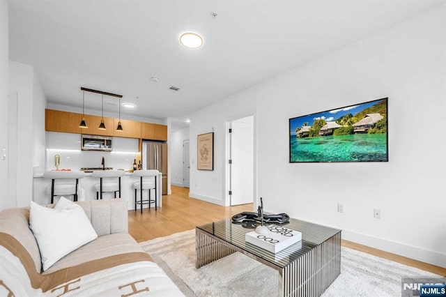 living room with light hardwood / wood-style flooring