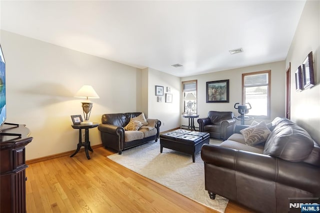 living room with wood-type flooring