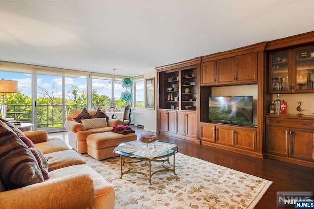 living room featuring dark hardwood / wood-style floors