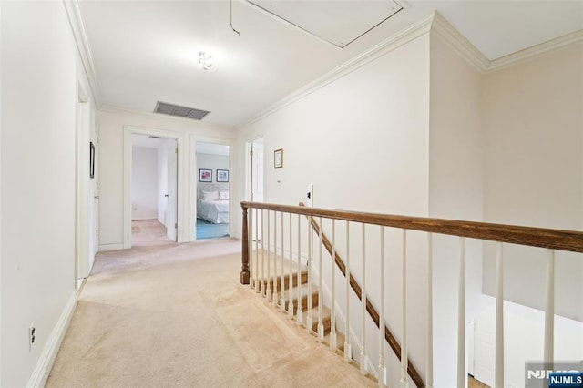 hall with visible vents, attic access, ornamental molding, an upstairs landing, and light carpet