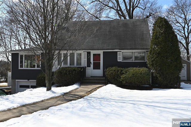 view of cape cod-style house