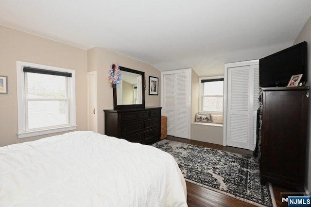 bedroom featuring lofted ceiling, wood finished floors, and two closets