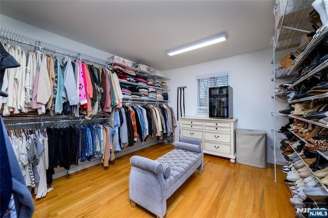 spacious closet with light wood-style floors