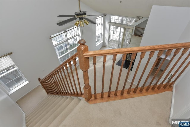 staircase featuring carpet flooring, ceiling fan, and a towering ceiling