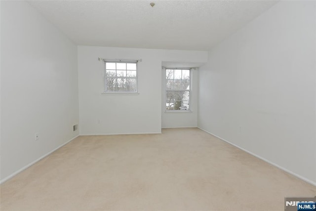 spare room with light carpet and a textured ceiling