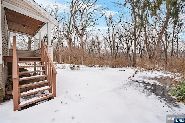 view of yard covered in snow