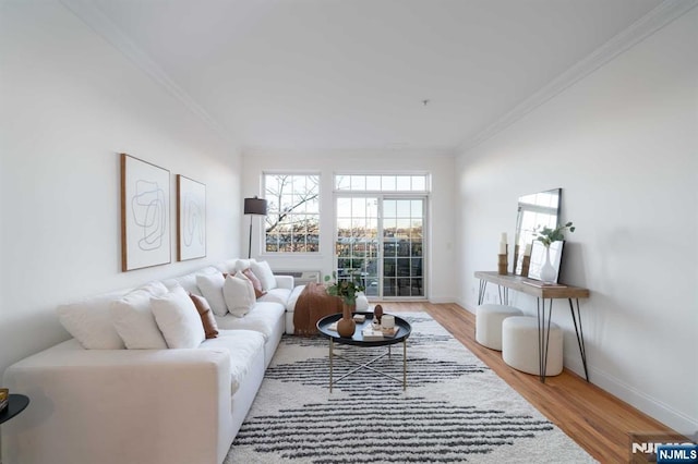 living room featuring ornamental molding and light wood-type flooring