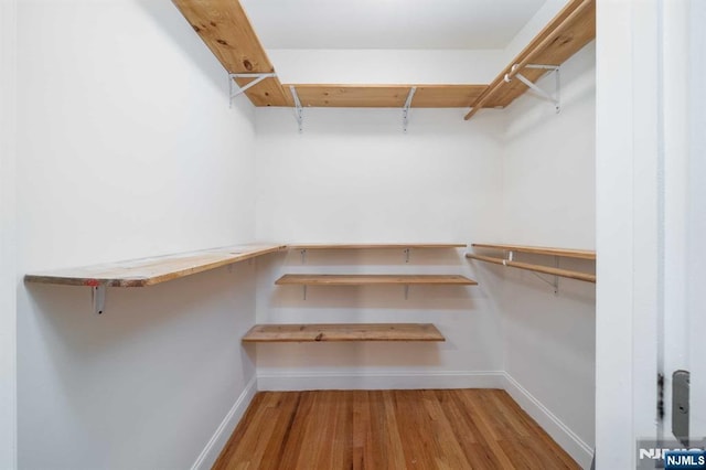 walk in closet with wood-type flooring