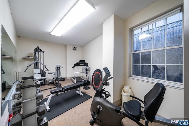 exercise area with carpet floors