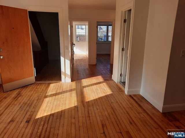 corridor with wood-type flooring