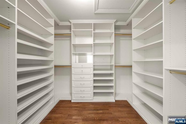 walk in closet featuring dark hardwood / wood-style floors