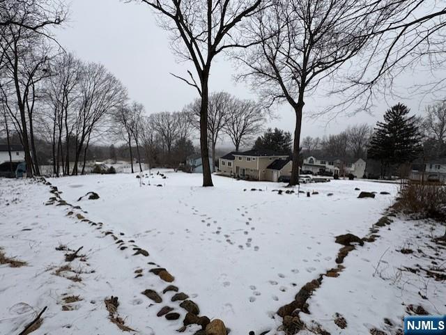 view of snowy yard