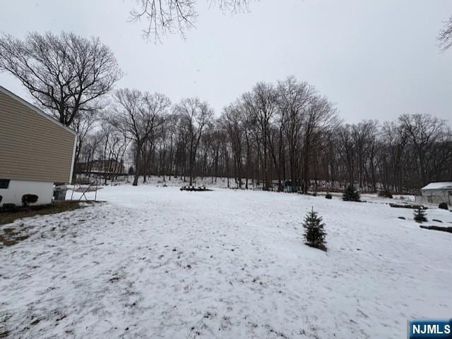 view of yard covered in snow