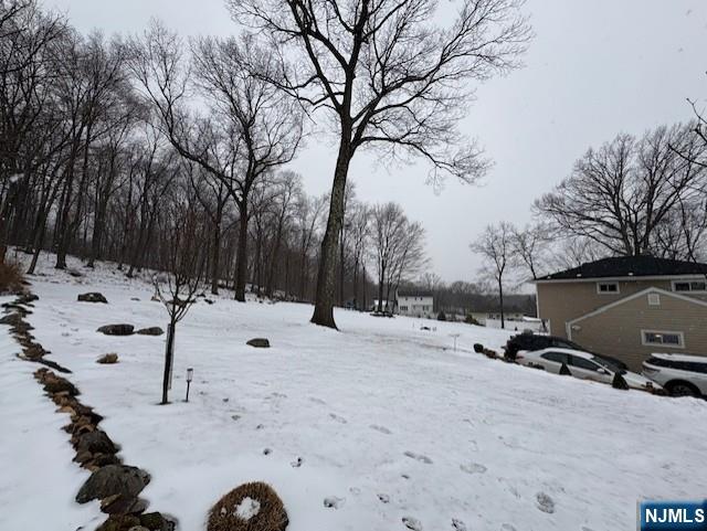 view of snowy yard