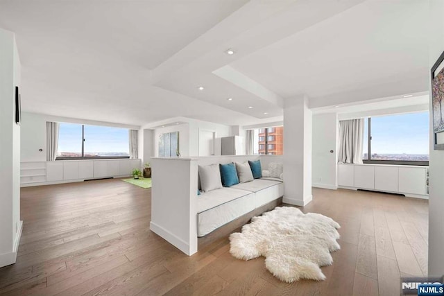 living room featuring a wealth of natural light and light wood-type flooring