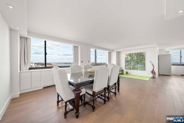 dining space featuring a wealth of natural light and light wood-type flooring