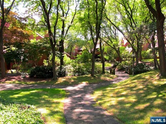 view of property's community with a lawn