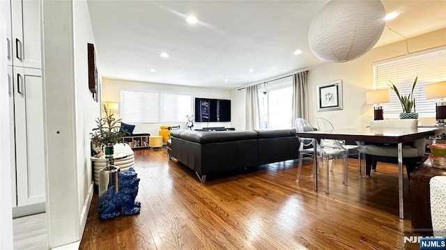 living room with hardwood / wood-style floors