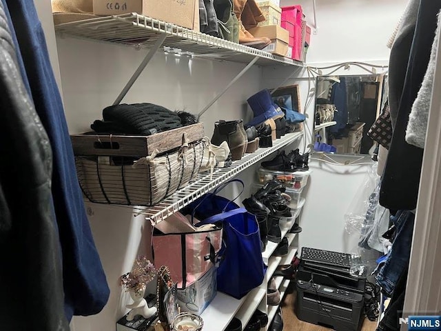view of spacious closet