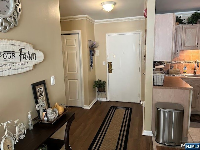 entryway featuring ornamental molding, sink, and dark hardwood / wood-style floors