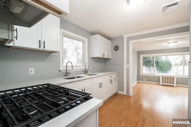 kitchen with sink, radiator heating unit, and white cabinets