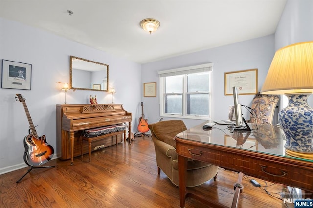 office featuring wood finished floors