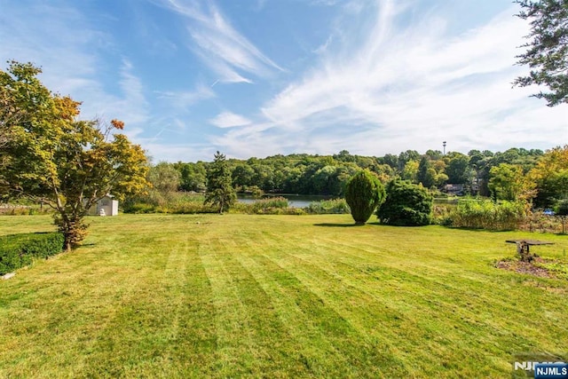 view of yard with a water view