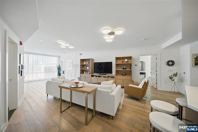 living room featuring light hardwood / wood-style floors