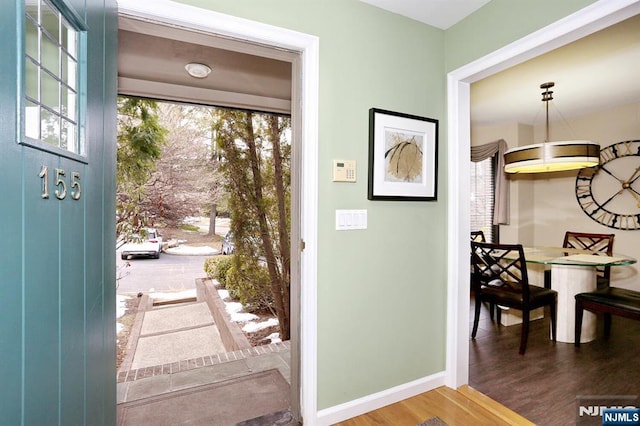 entrance foyer with dark wood-type flooring