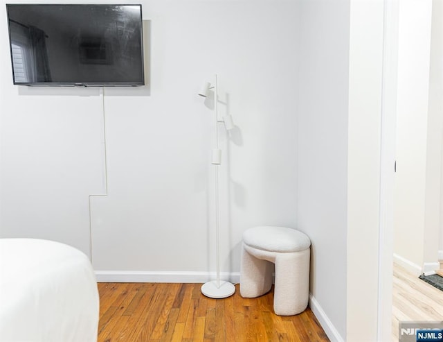 bathroom featuring hardwood / wood-style floors