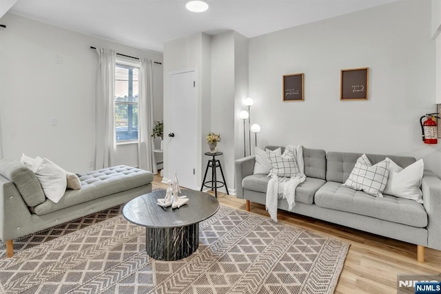 living room with wood-type flooring