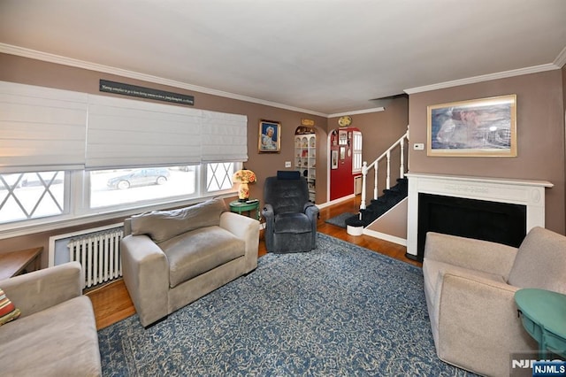 living room with a fireplace, wood finished floors, stairs, radiator heating unit, and crown molding