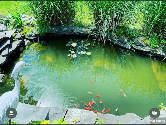 water view featuring a small pond