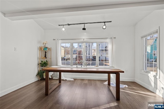 dining area with dark hardwood / wood-style floors, plenty of natural light, and track lighting